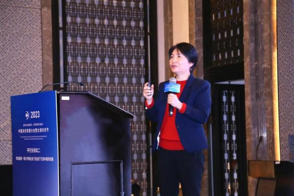 2023�й������������֮ƽ�з���̳������ҵЧ�͡������й���ҵ���߳�ȥ�� �����й���Ӧ��