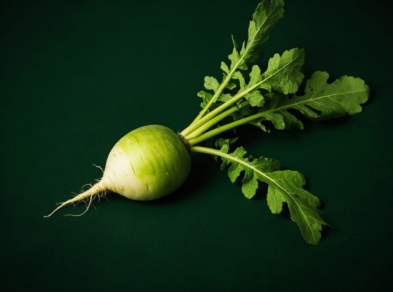 �ܲ���������ӡ��������