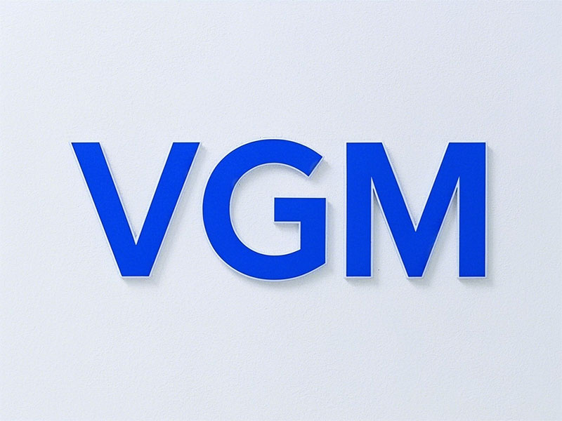 vgm�ں�����ʲô��˼