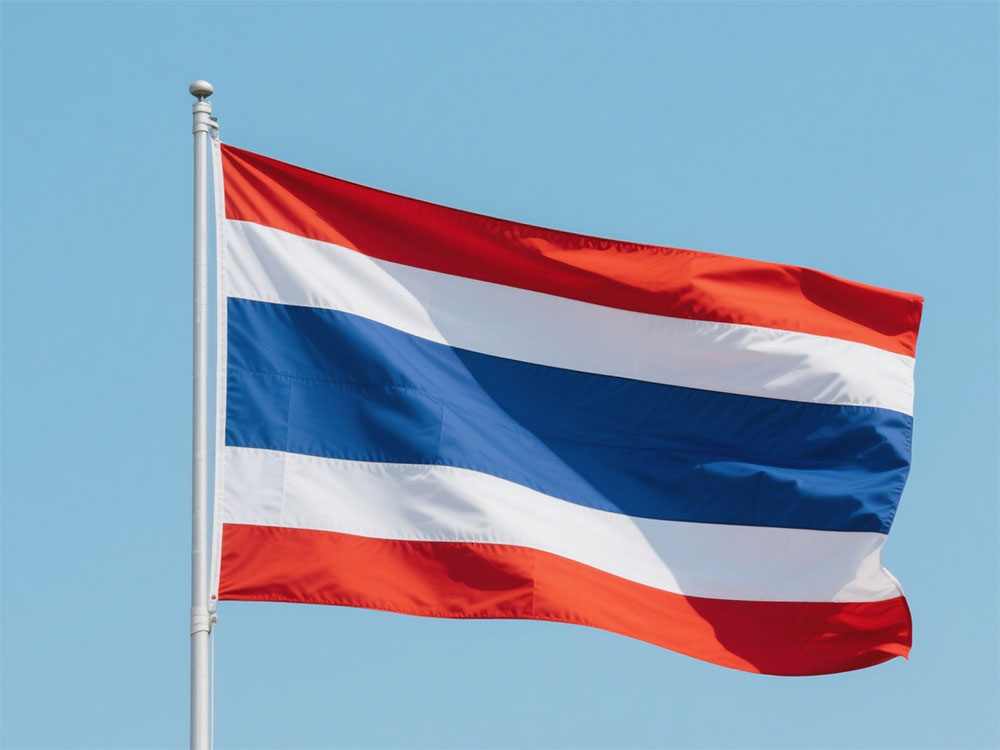 ����̩����ʲô��������