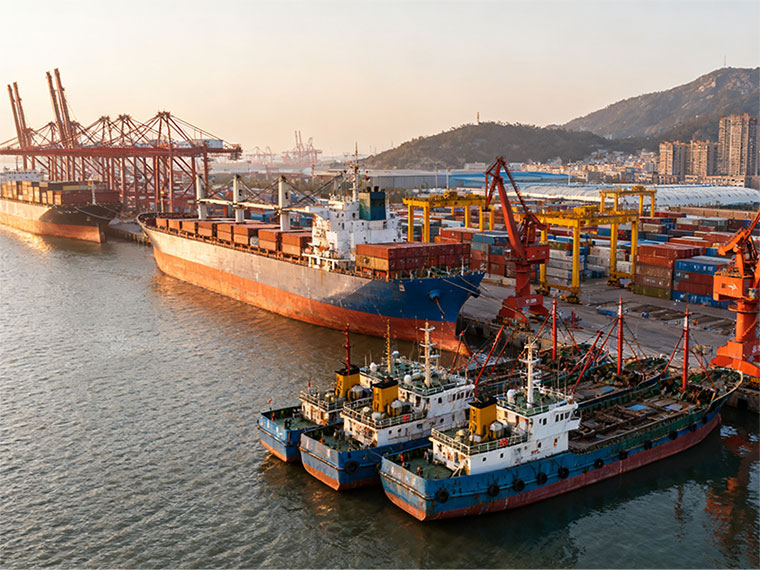 ���������Ҫʲô����